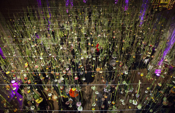 Blog_rebecca_louise_law_installation_reduced