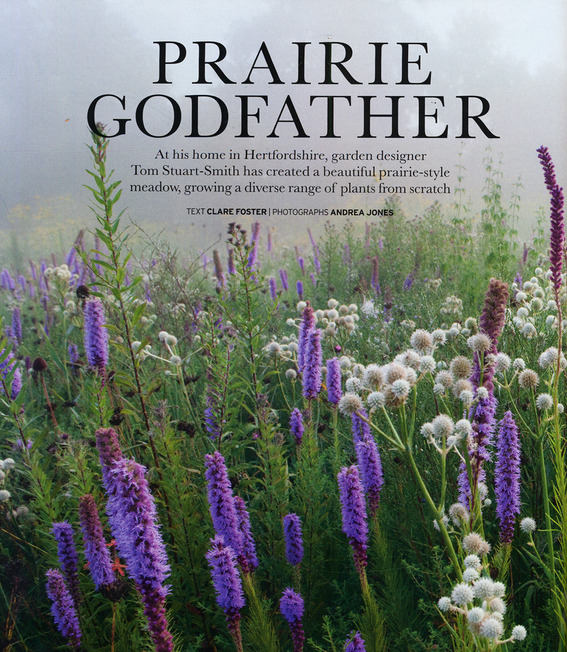 Blog_1407_house___garden_prairie_godfather_for_blog