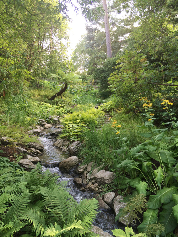Blog_140802_windsor_great_park_cascade_a